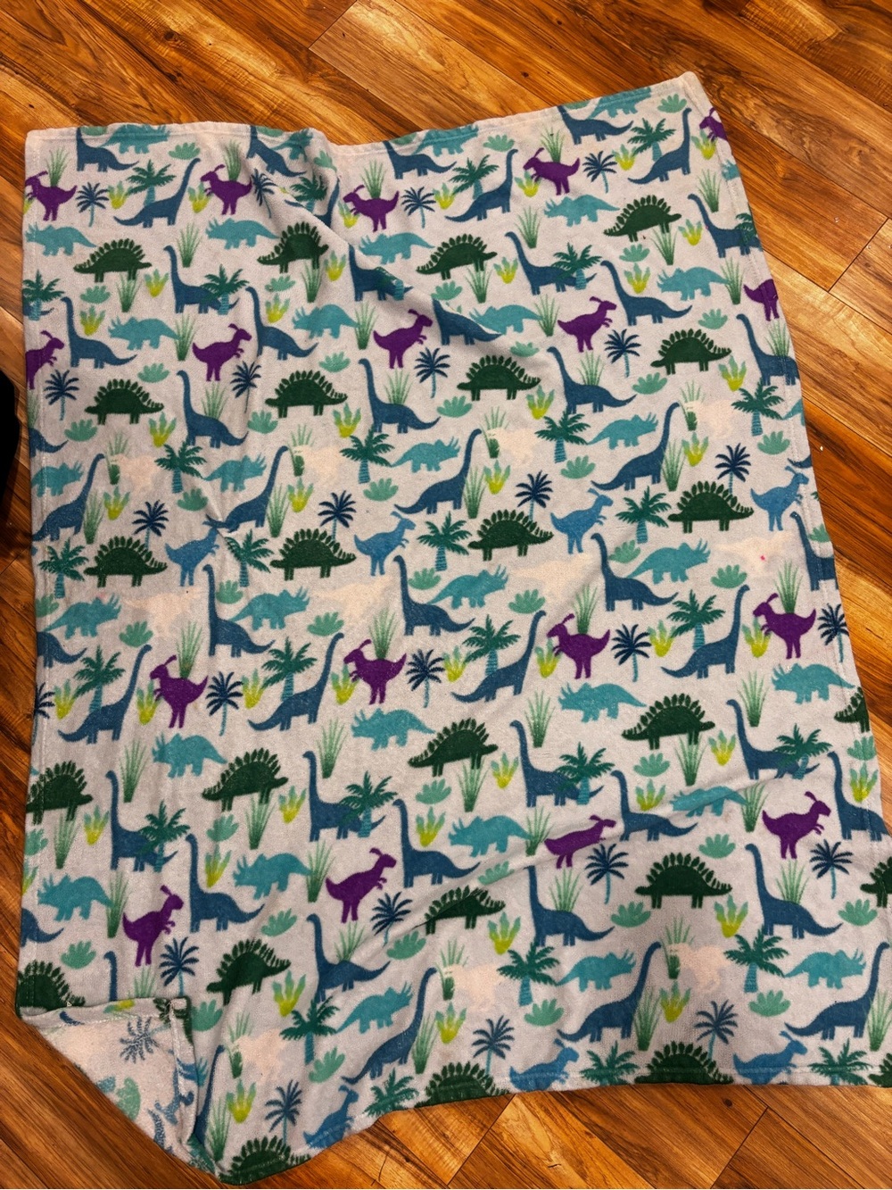 Children's Dinosaur Print Blanket - Teal, Green, Purple, Aqua Playful Cozy